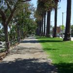 Scenic Waterfront Walkway